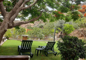 Peaceful house set on a vineyard & work friendly